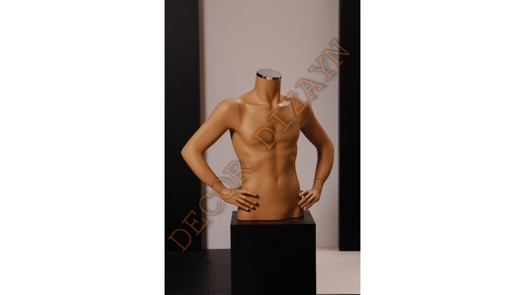 Polyester Bust Mannequin - Male